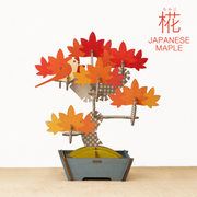 Play Plants Bonsai Puzzles E6