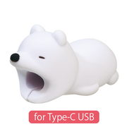 CABLE BITE for Type-C USB B9