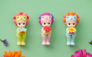 Flower Gift Z6