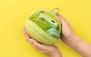 SMISKI Cushion Pouch M6