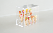 Acrylic Display Case E2
