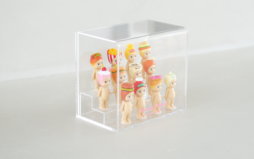 Acrylic Display Case E2