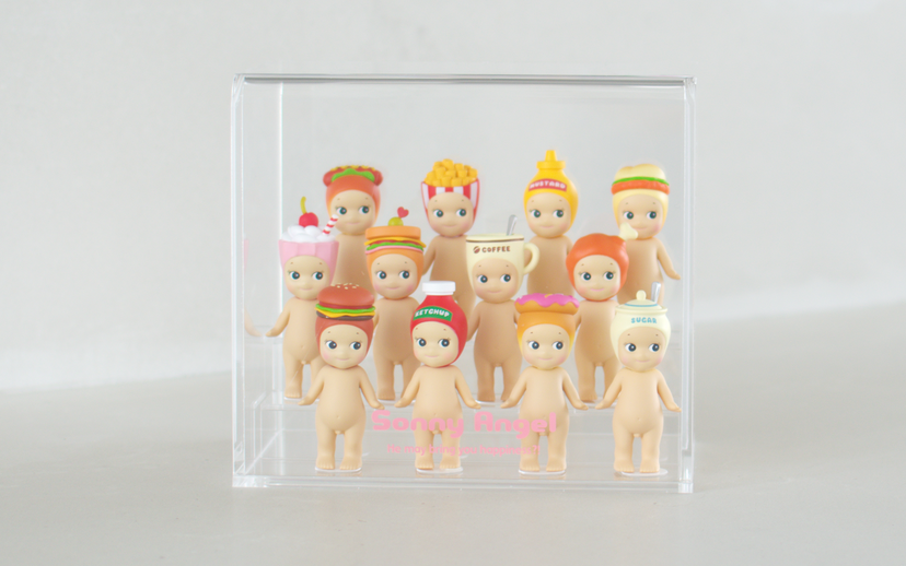 Acrylic Display Case E2