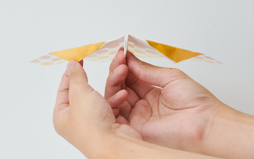Papillon Origami Airplanes R4