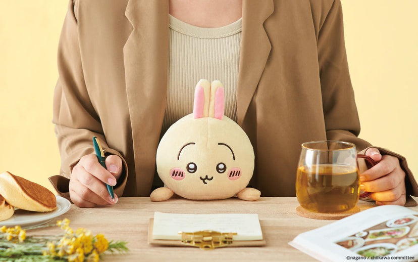 Posture Pal - CHiiKAWA Z6