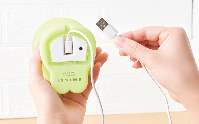 SMISKI Touch Light R8