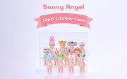 Acrylic Display Case E2