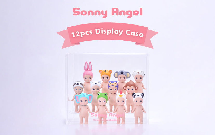 Acrylic Display Case E2