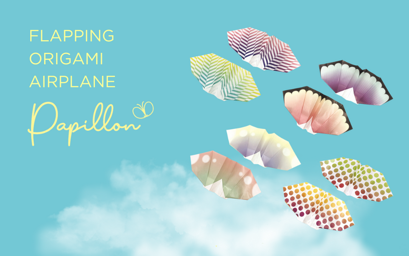 Papillon Origami Airplanes R4