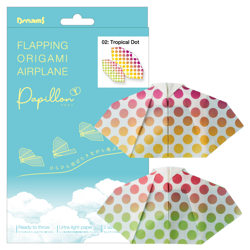 Papillon Origami Airplanes R4