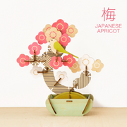 Play Plants Bonsai Puzzles E6