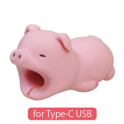 CABLE BITE for Type-C USB B9