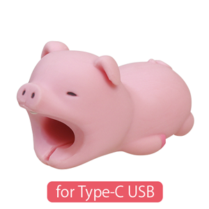 CABLE BITE for Type-C USB B9