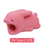 CABLE BITE for Type-C USB B9