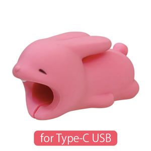 CABLE BITE for Type-C USB B9